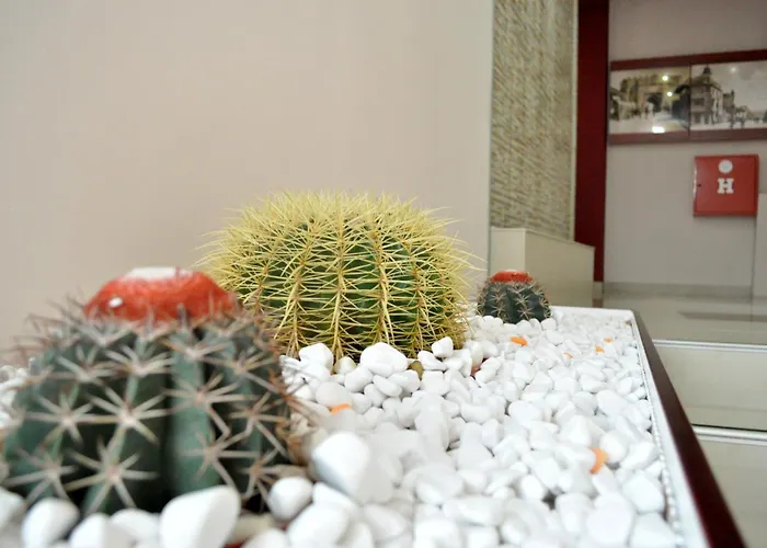 Garni 018 In 3* Ni