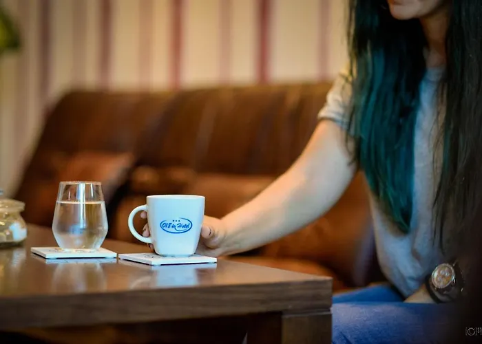 Garni 018 In 3* Ni